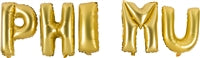 Gold Balloon Set